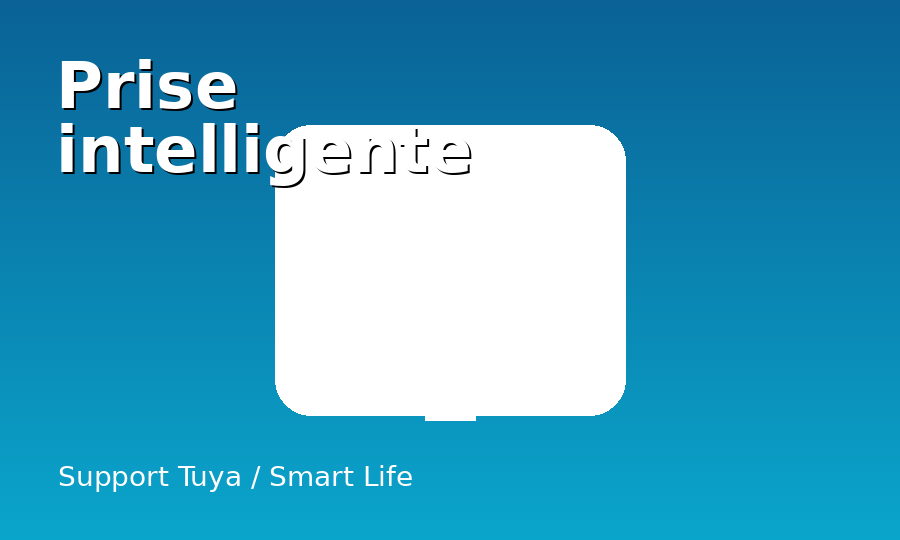 Prise intelligente