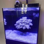 CP-RS Filtre à rouleau automatique – Pour Red Sea MAX NANO Cube et Peninsula